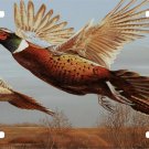 Pheasants Birds Quail Duck Hunting Game Novelty License Plate Car Truck Tag