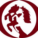 Horse Rearing Rodeo Cowgirl Farm Cowboy Truck Car Window Vinyl Decal Sticker