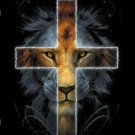 Lion of Judah Yeshua Lord Jesus Christ Christian License Plate Car Truck Tag