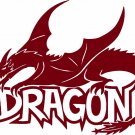 Dragon Wings Tail Car Truck Tattoo Window Laptop Vinyl Decal Sticker