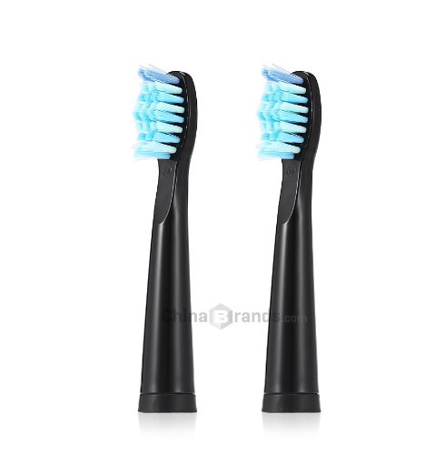 SEAGO E2 Waterproof Sonic Electric Toothbrush with 2 Brush Heads