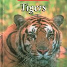 The Untamed World Tigers by E.Melanie Watt 0739849735 The Untamed World Tigers by E.Melanie Watt 0739849735