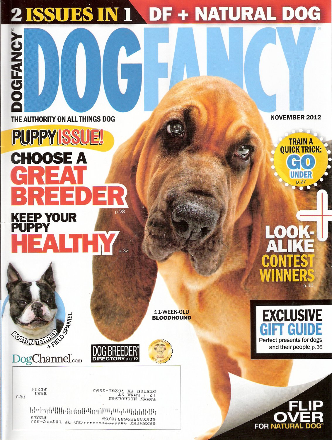 dog-fancy-magazine-november-2012-natural-dog-fall-2012