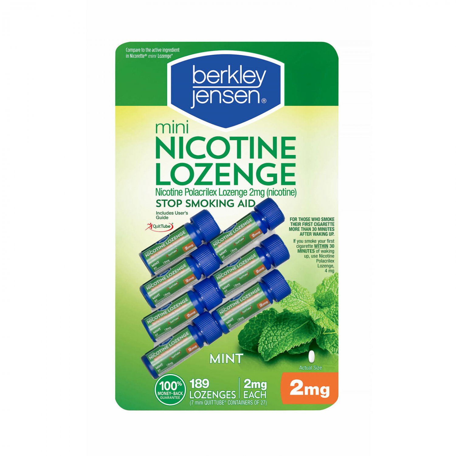 Berkley Jensen 2 mg Mini Mint Nicotine Lozenges - 189 Lozenges