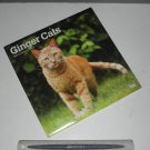 Ginger Cats 2025 Wall Calendar by BrownTrout NEW