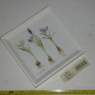 Hallmark Marjolein Bastin 6x6 White Framed Drawing Painting Art Flowering Bulbs