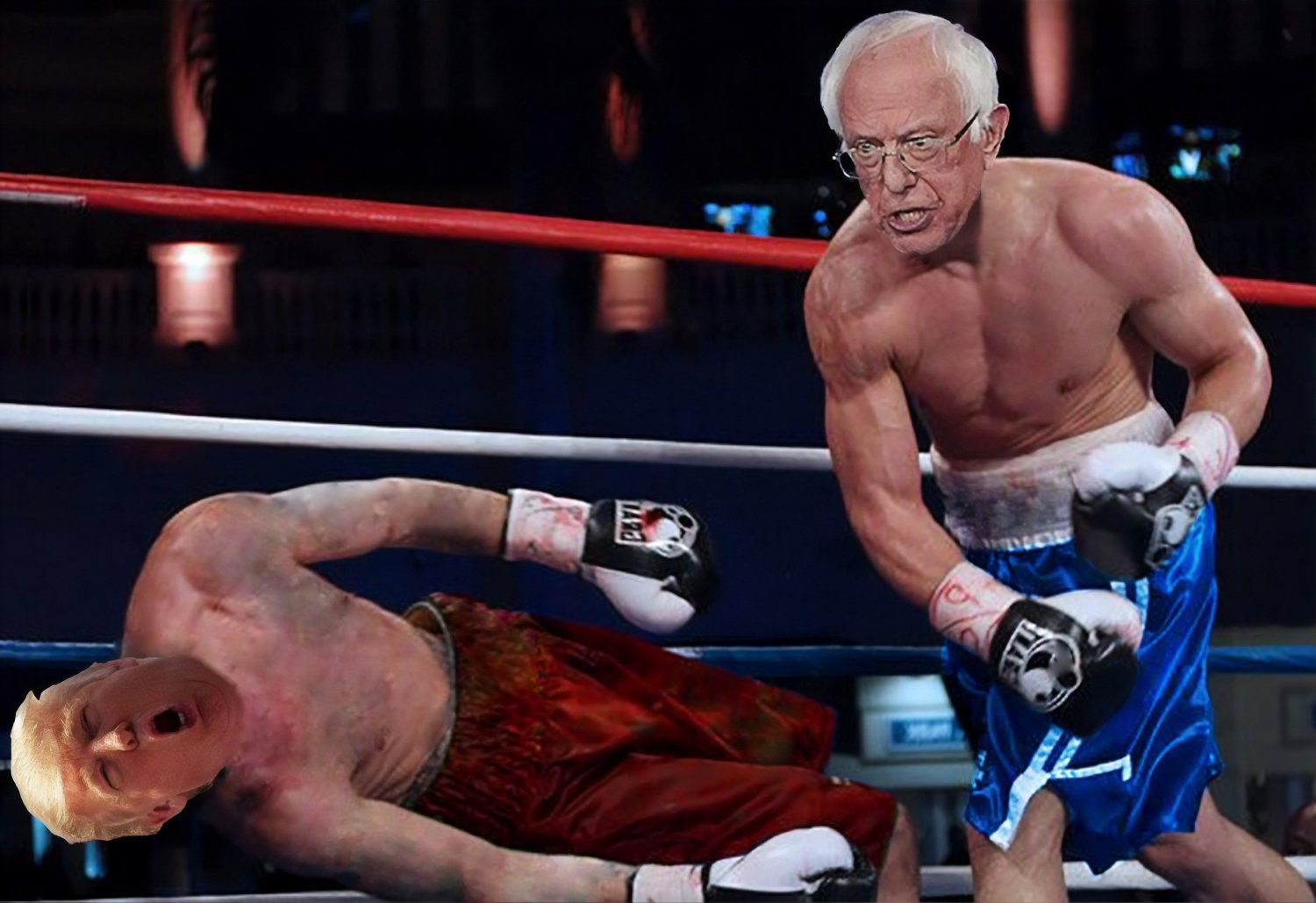 Bernie Sanders Flag 3x5 FT Fighting Knock Out Trump Flag