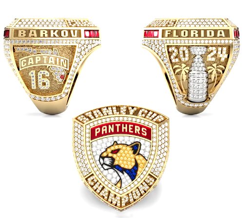 Rings championship florida panthers NFL football american futbol americano EEUU unites states