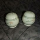 Noritake April Sky 1 Salt and Pepper Set