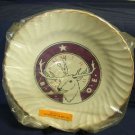 Elks B. P. O .E. Lodge 294 Plate