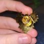 Phoenix Enamel Pin/Brooch
