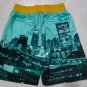 Boston Celtics Shorts Light Green