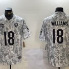 Chicago Bears #18 Caleb Williams 2024 Salute to Service jerseysArctic Camo