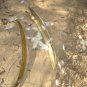 Oroxylum Indicum 6 Seeds, Midnight Horror Tree, Edible Indian Trumpet Flower