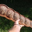 Entada Phaseoloides 1 Big Seed, World's Longest Legume GUGO Liana Vine