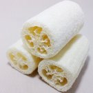 Luffa Cylindrica Vine 10 Seeds, Sponge Gourd, Egyptian Cucumber Luffa Cylindrica Vine 10 Seeds, Sponge Gourd, Egyptian Cucumber