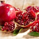 Punica Granatum 25 Seeds, Pomegranate Edible Fruit Shrub Tree Bonsai Punica Granatum 25 Seeds, Pomegranate Edible Fruit Shrub Tree Bonsai