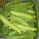 Psophocarpus Tetragonolobus 5 Seeds, Vegetable Winged Bean, Nitrogen Fixing Fodder Psophocarpus Tetragonolobus 5 Seeds, Vegetable Winged Bean, Nitrogen Fixing Fodder