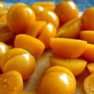 Physalis Peruviana 50 Seeds, Edible Cape Gooseberry Shrub Goldenberry Fruit
