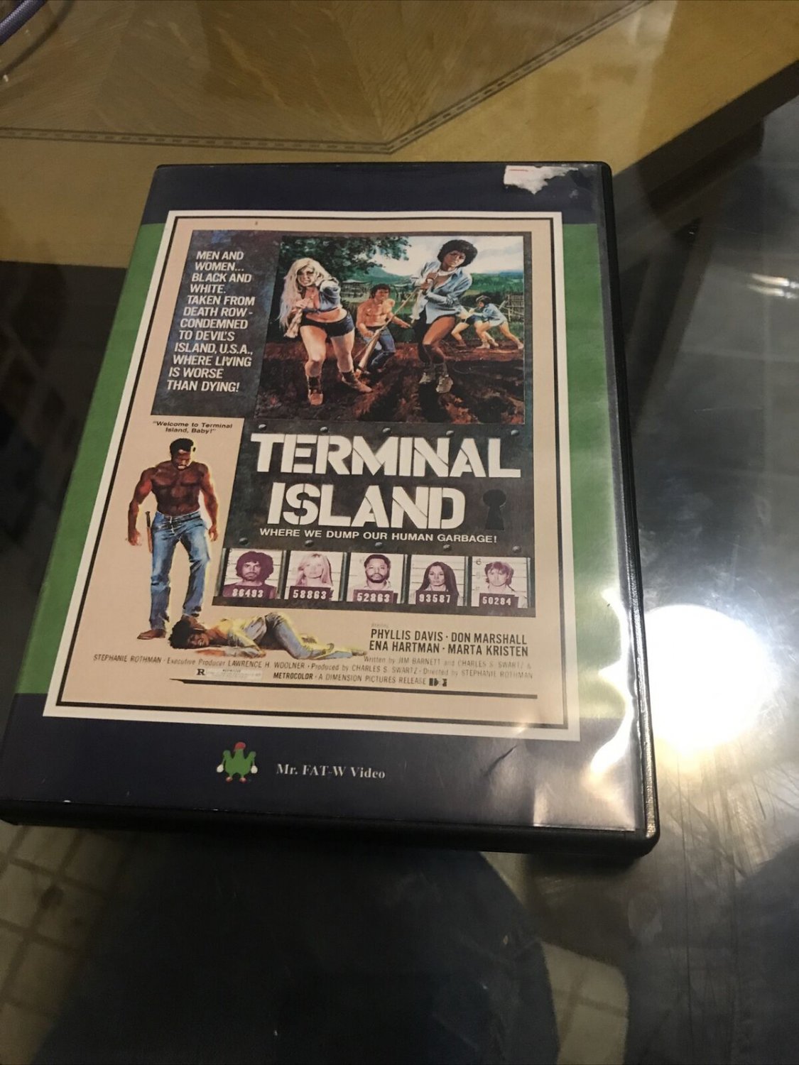 Terminal Island (DVD, 2015)