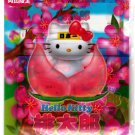 Sanrio Japan Hello Kitty Limited Region Letter Set in Folder 2002 Kawaii