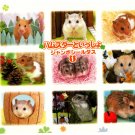 Bandai Japan Lovely Hamsters Jumbo Sealdass Booklet (A) 2000 Kawaii
