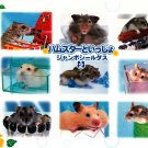 Bandai Japan Lovely Hamsters Jumbo Sealdass Booklet (B) 2000 Kawaii