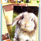Q-Lia Japan Little Memories Letter Set with Stickers Kawaii