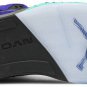 Air Jordan 5 Retro Alternate Grape 136027-500
