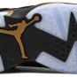Air Jordan 6 Retro DMP CT4954-007