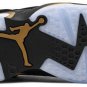 Air Jordan 6 Retro Defining Moments CT4954 007