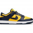 Nike Dunk Low Michigan DD1391 700