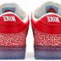 Nike Dunk SB Low Stingwater Magic Mushroom DH7650-600
