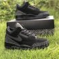 Air Jordan 3 Tinker Black Cat