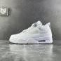 Air Jordan 4  Retro Pure Money (2017)