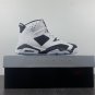 Air Jordan 6 Retro Oreo White Black