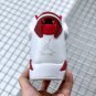Jordan 6 Retro Alternate Hare