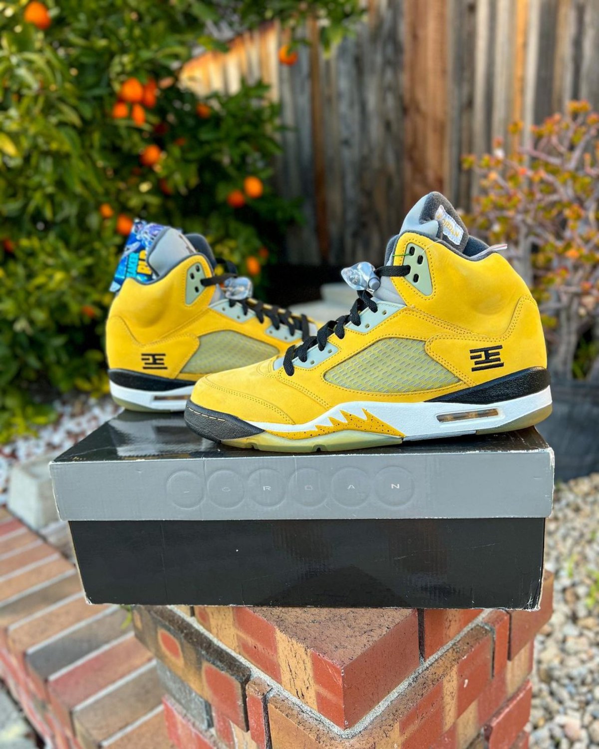 Nike Air Jordan 5 Retro T23 &acirc;��Tokyo&acirc;��