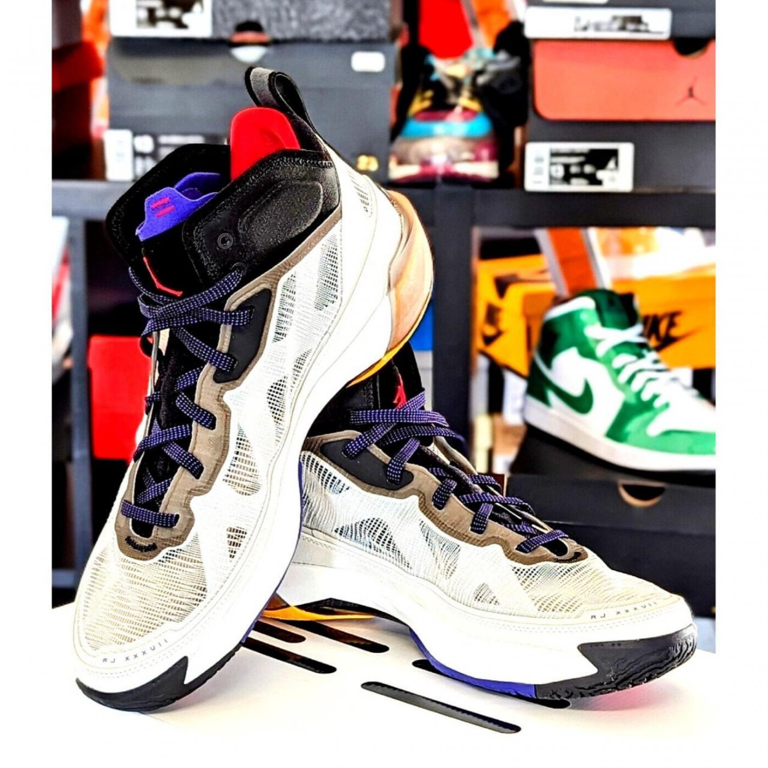 Jordan 37 Light Bone Dark Concord