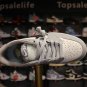 Nike Air Jordan 1 Retro Low Dior captivating
