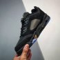 Nike Air Jordan 5 Retro Low Wings