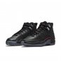 Nike Air Jordan 12 Retro Utility (GS) DM5204-006