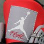 Air Jordan 4 Retro Toro Bravo