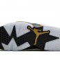 Nike Air Jordan 6 Retro DMP (2020)_1