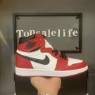 Nike Air Jordan 1 Retro High OG 'Chicago' 2015_1
