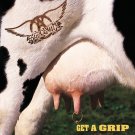 Aerosmith - Get a Grip - Mp3 Digital Album Download