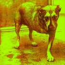 Alice in Chains - Alice in Chains - Mp3 Digital Album Download