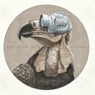 Protest the Hero - Volition - Mp3 Digital Album Download