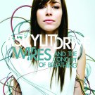 A Skylit Drive - Wires and the Concept of Breathing - Mp3 Digital Album Download