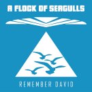 A Flock of Seagulls - Remember David (Single) - Mp3 Digital Single Download A Flock of Seagulls - Remember David (Single) - Mp3 Digital Single Download